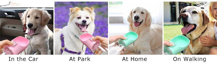 Portable Dog Water Bottle for Dogs and Cats